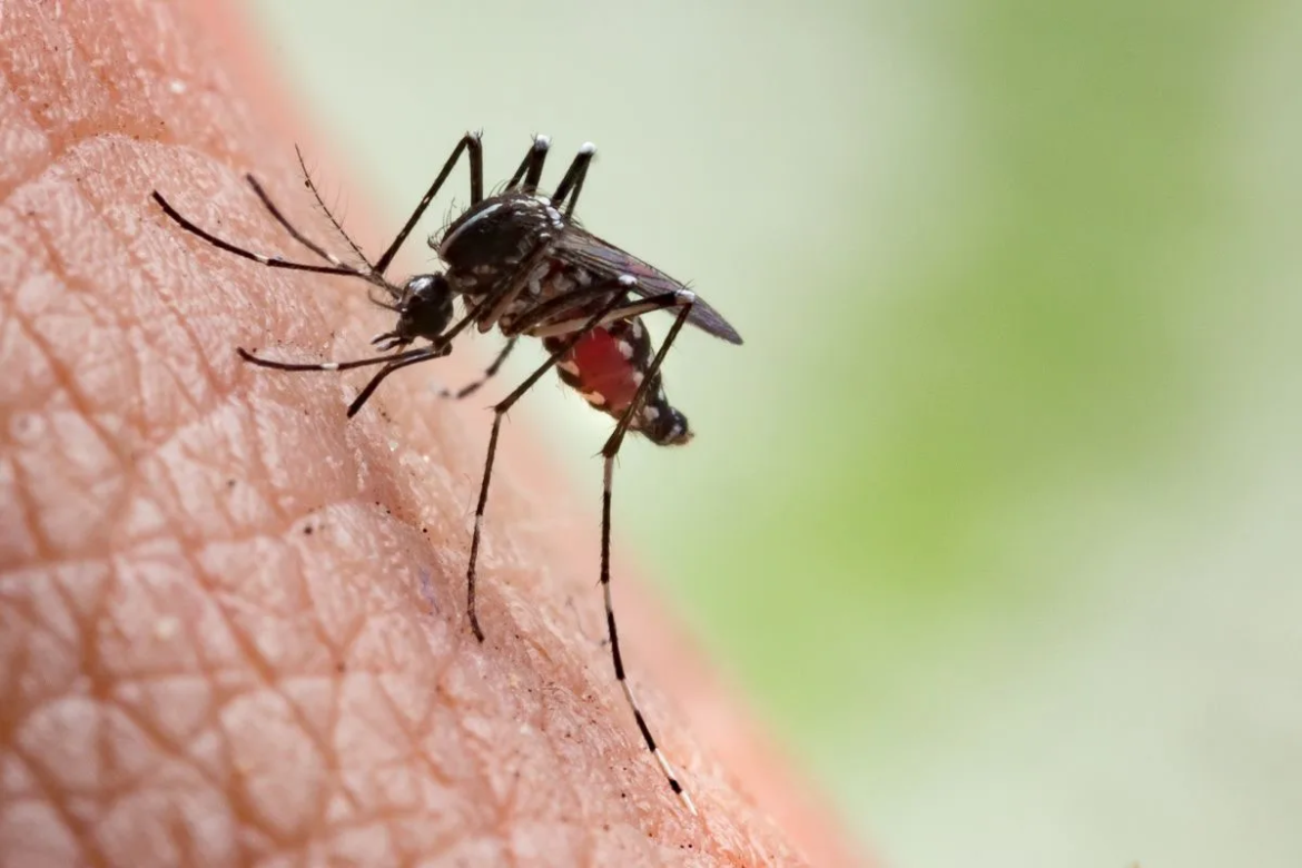 Namibia records over 56,000 malaria cases since December: health minister