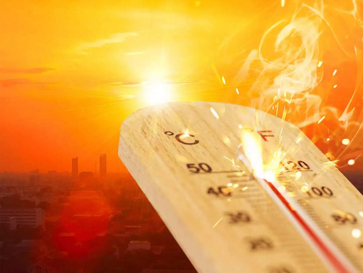 Heatwave kills 510 people in Spain