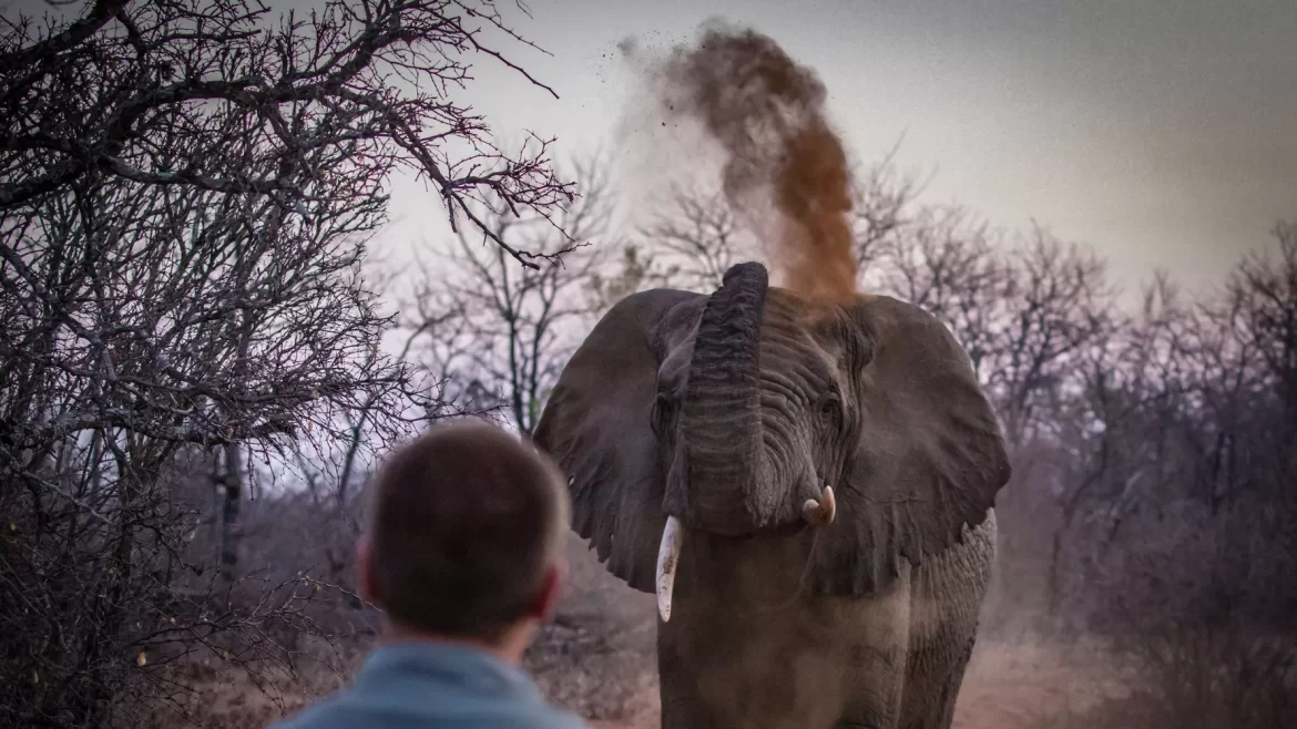 Feature: Communities battle human-wildlife conflict in Namibia
