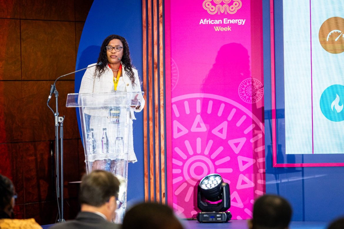 Namibia’s Oil and Gas Sector Update at African Energy Week 2023