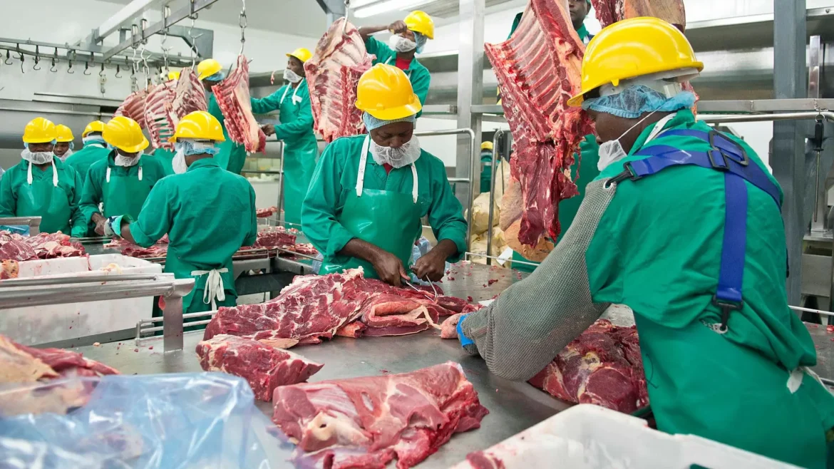 Namibian Beef Exporters Eye Angola Market