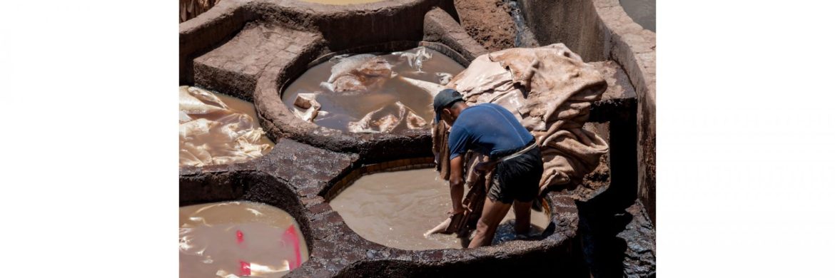 Ethiopian Leather Industry Seizes AfCFTA Opportunities: Workshop Highlights Path to Growth