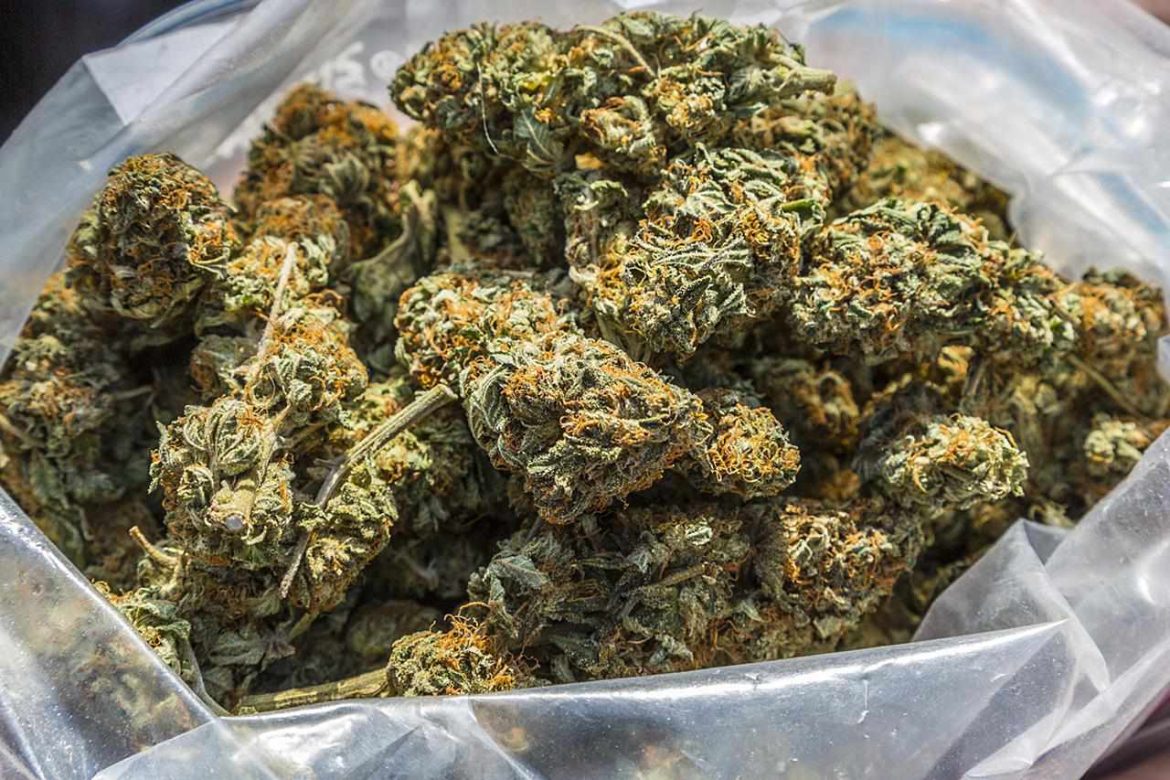 Driver Overturns Vehicle and Disposes Cannabis in Warmbad