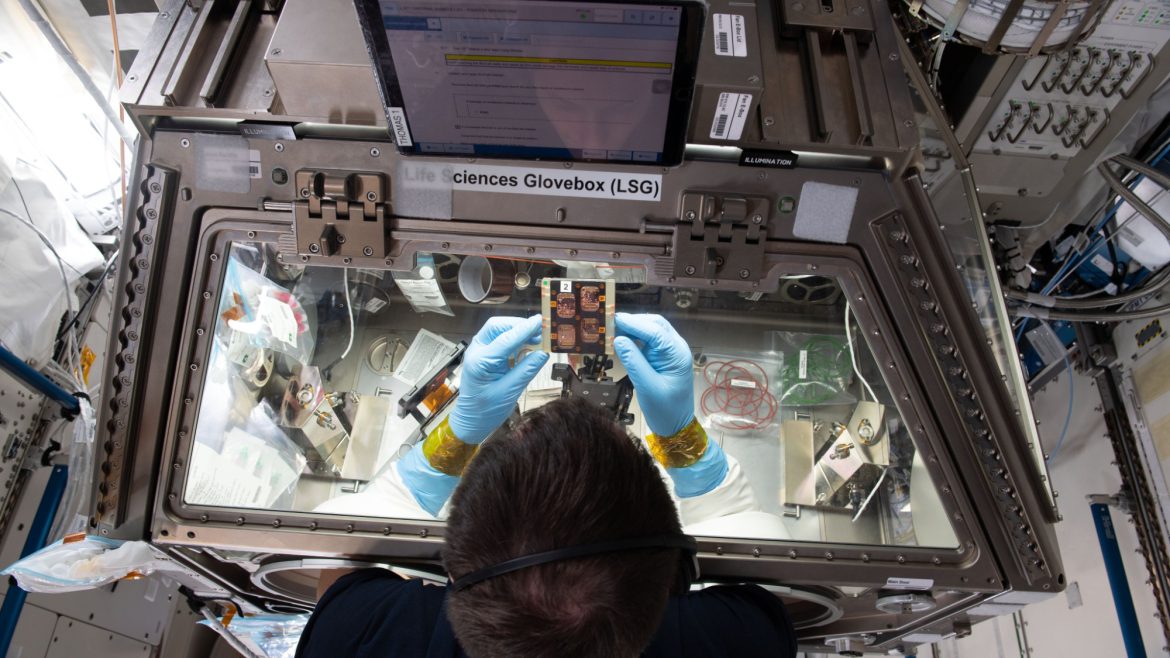 Scientists in Australia send “cell hotels” on space mission for microgravity study