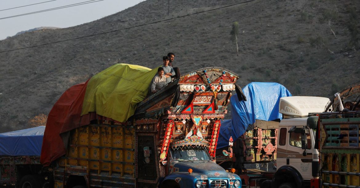 Afghan police thwart cross-border smuggling of over 5,000 sheep in 3 months
