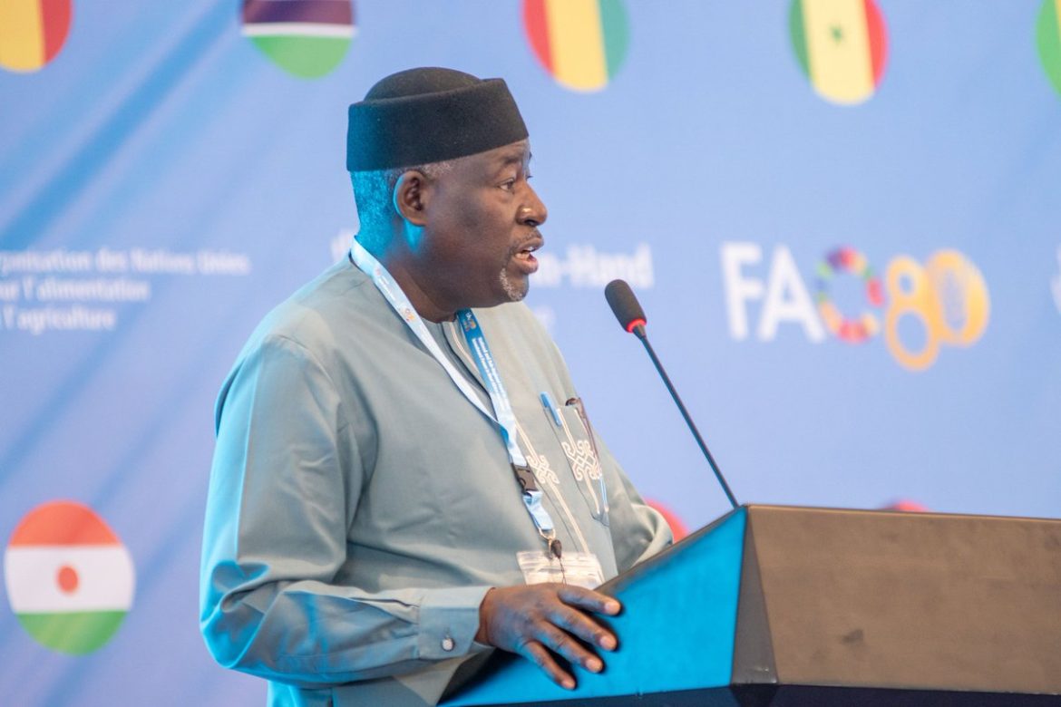 UN agency recognizes 13 Guinea-Bissau communities as “FAO Villages”