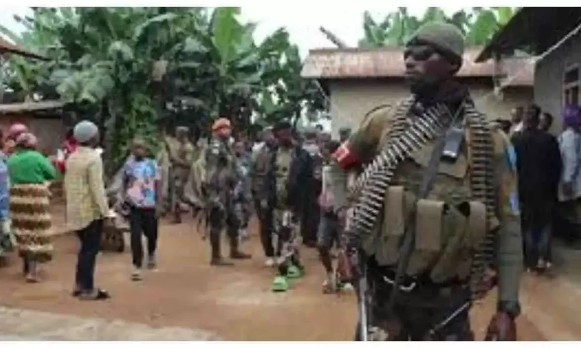 Armed groups in eastern DRC hinder Ebola response: UN