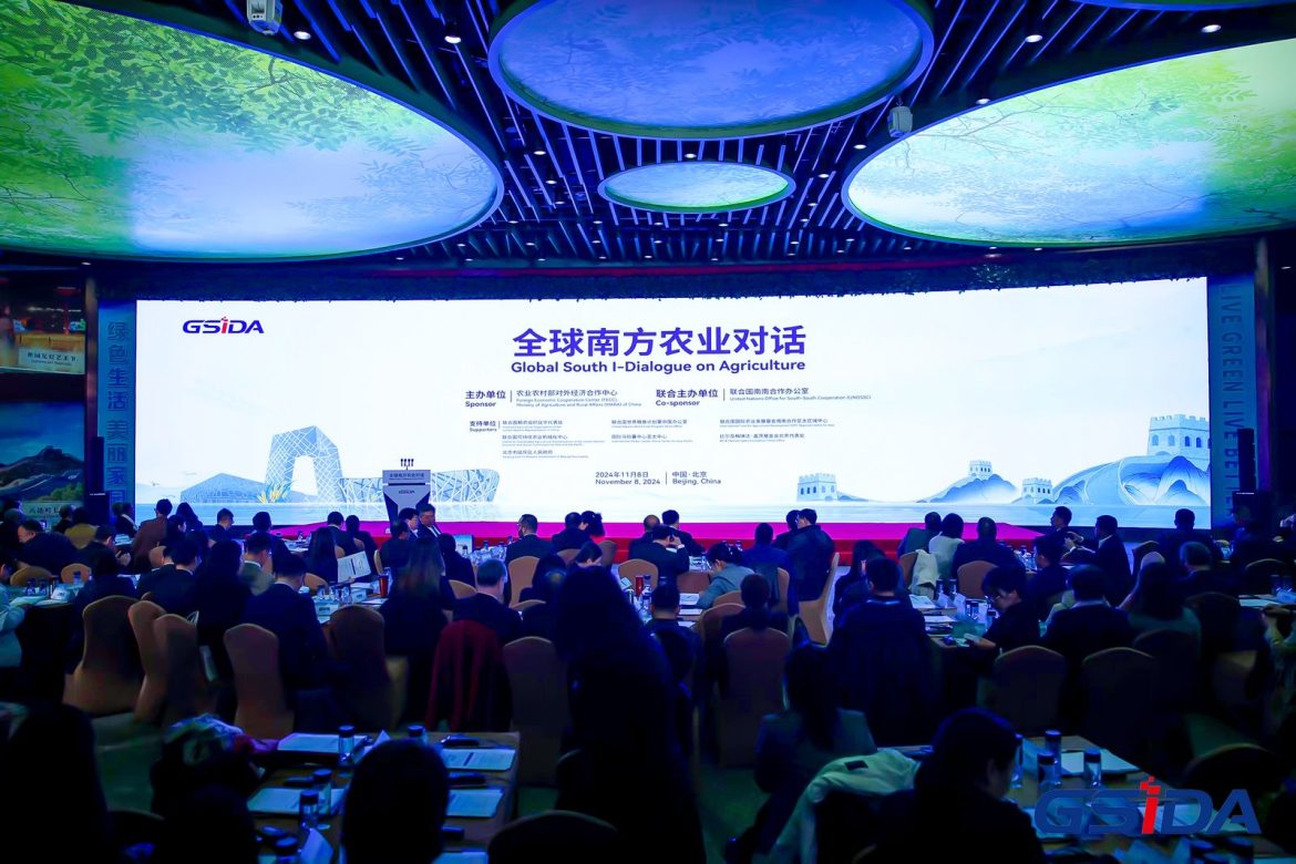 Seminar in Beijing offers wisdom for Global South cooperation