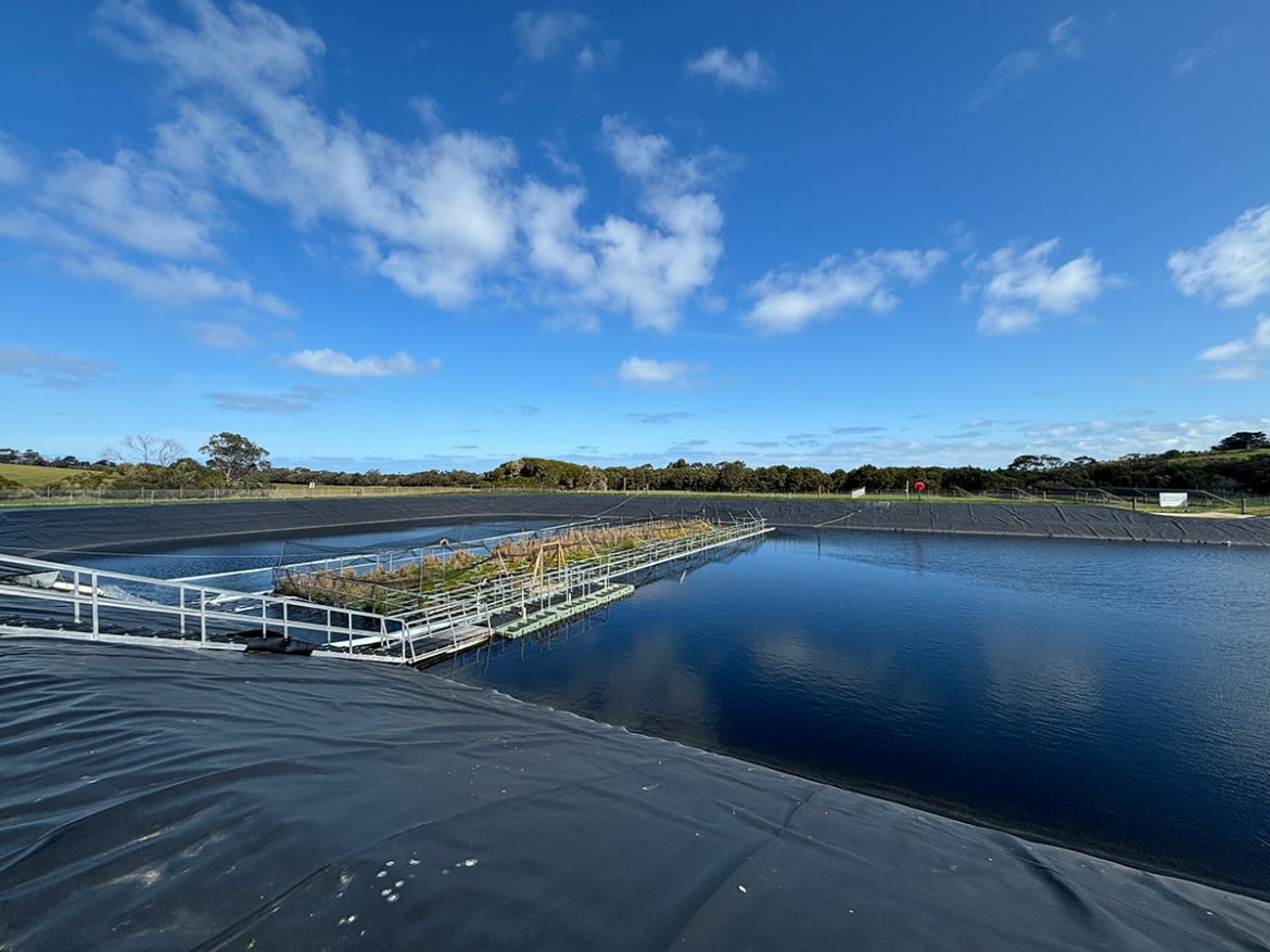 Floating wetlands cut wastewater emissions by over a quarter