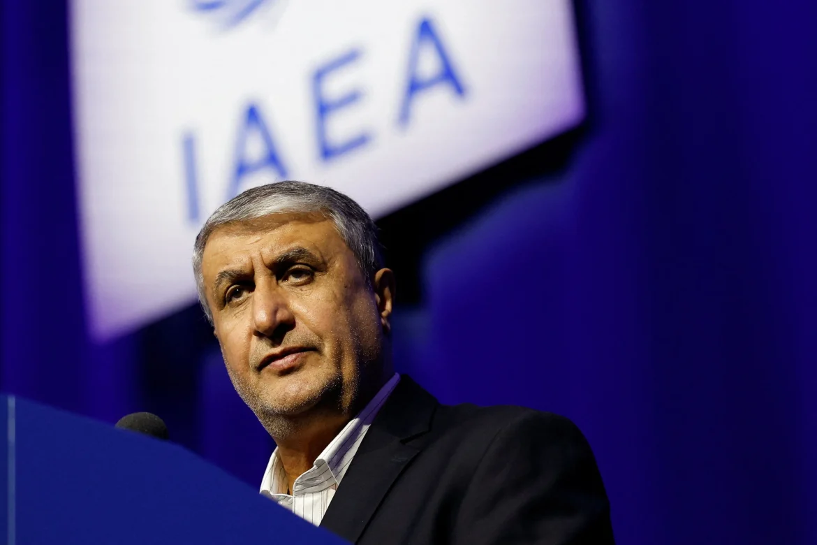 Iran condemns Austria’s “unjustified” move of denying nuclear chief visa