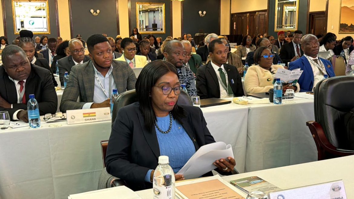 Namibia urges African parliaments to strengthen fiscal oversight amid debt crisis