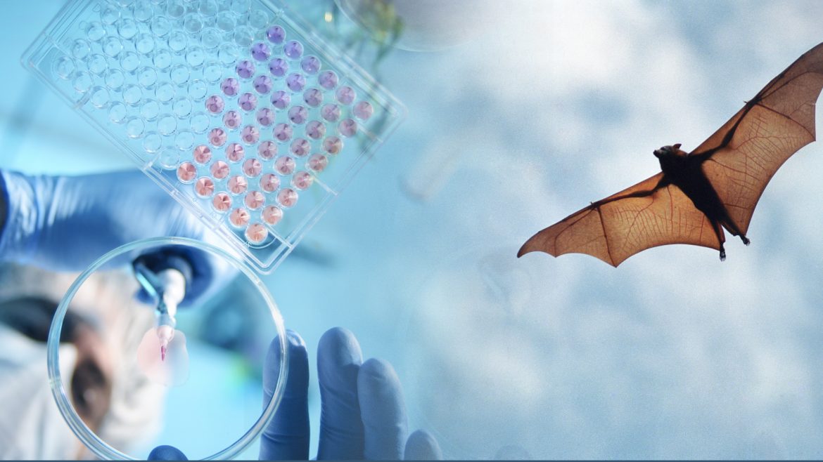 COVID-19 origins should be investigated worldwide for pandemic prevention: Lancet