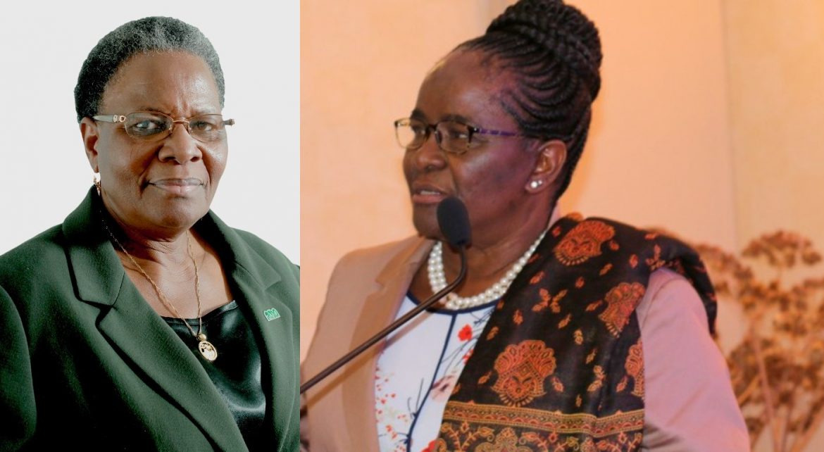 Botswana, Namibia foreign ministers call for speedy implementation of 2020 agreement