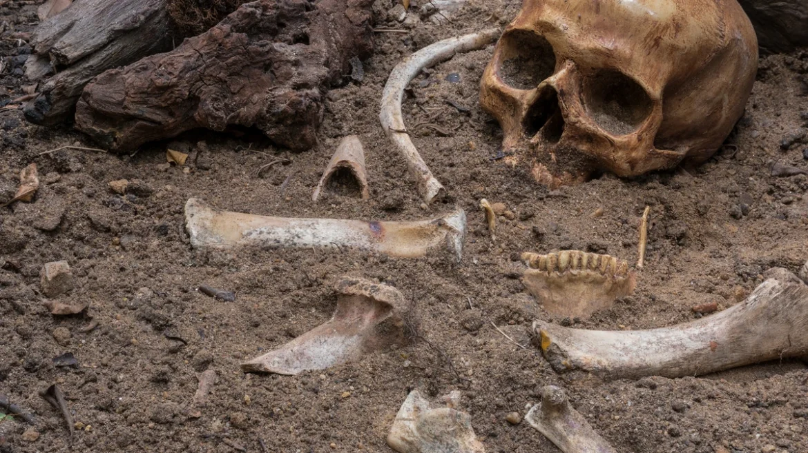 Man arrested for digging up father’s grave