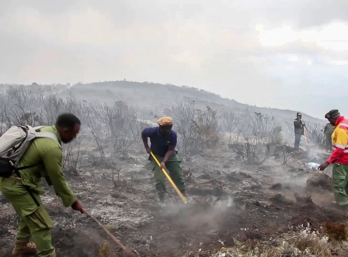 Tanzania mobilizes over 600 firefighters to put out fire on Mt Kilimanjaro