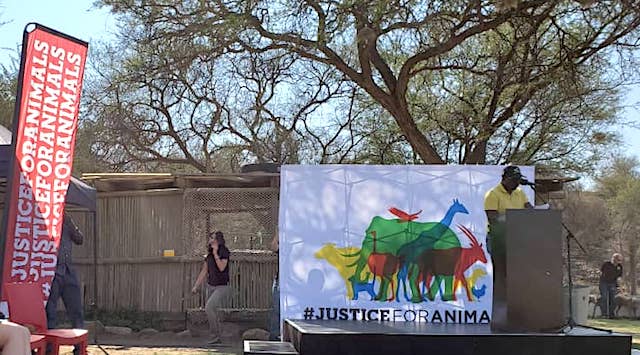 Justice for Animals Takes on Job Amupanda Over Alleged Dog-Eating Video