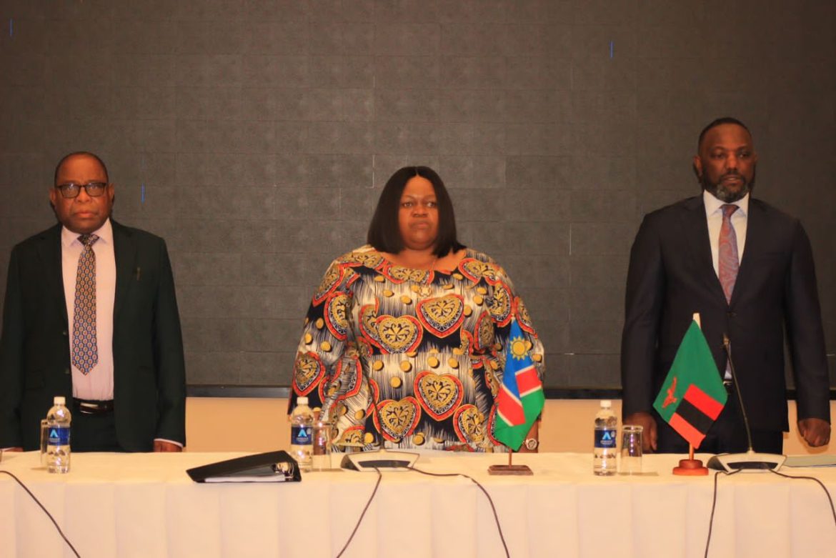 Namibia Pledges to Phase Out Ozone-Depleting Substances