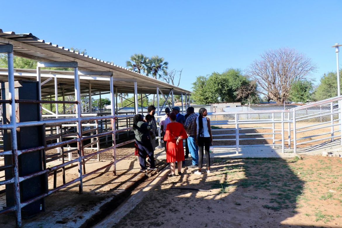 Lack of Grazing Forces Farmers to Seek Pasture in Angola