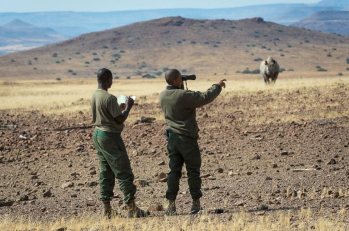 Namibia sees 45 pct drop in wildlife crime as gov’t steps up anti-poaching efforts
