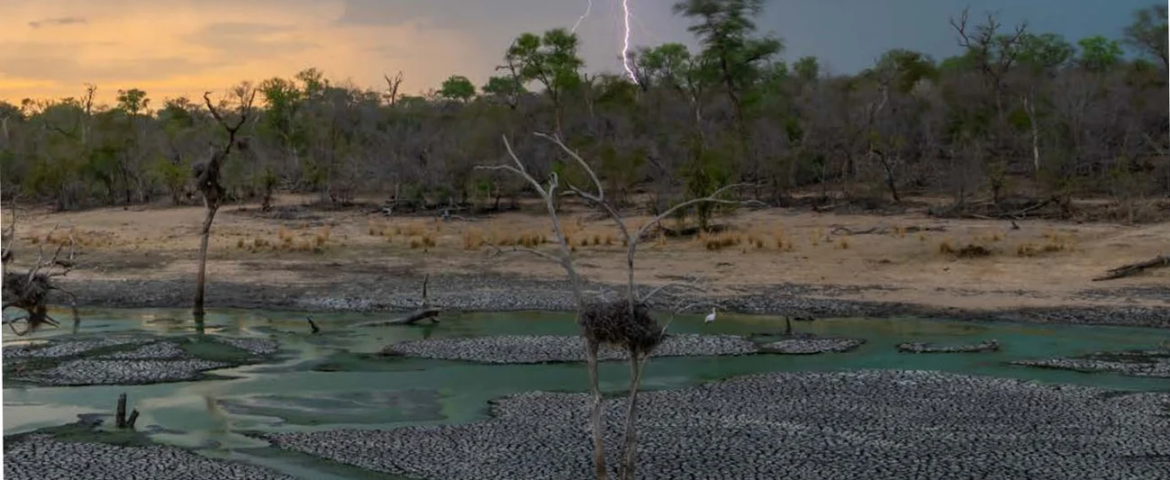 Zambezi basin climate resilience plan secures 703 mln USD