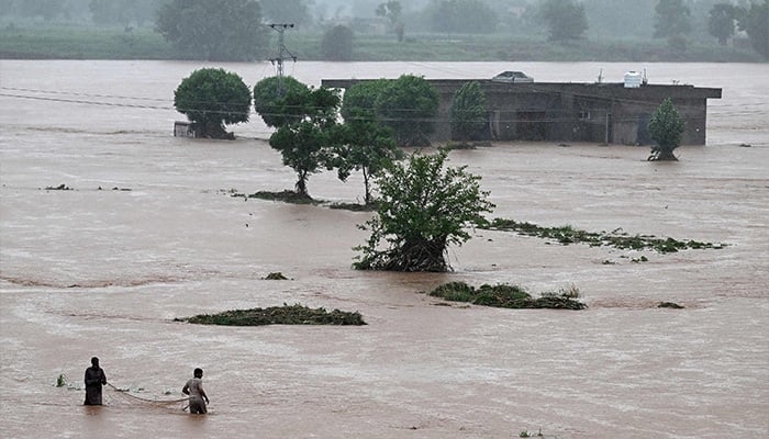 221 killed, 592 injured as monsoon rains wreak havoc in Pakistan