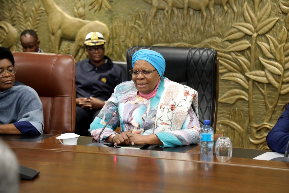 President Nandi-Ndaitwah Engages Sudan Envoy on Silencing the Guns”