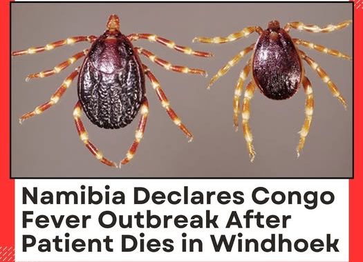 Namibia confirms Crimean-Congo hemorrhagic fever outbreak after fatal case