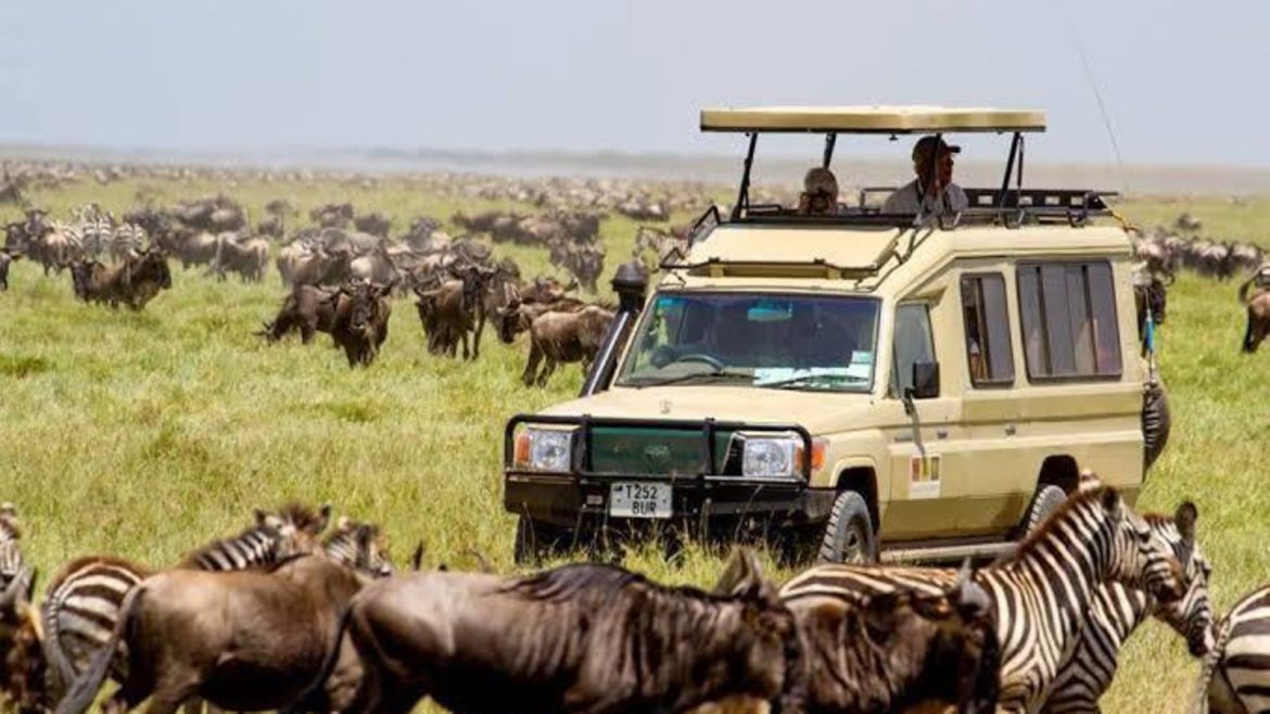 Tanzania assures safety of tourists