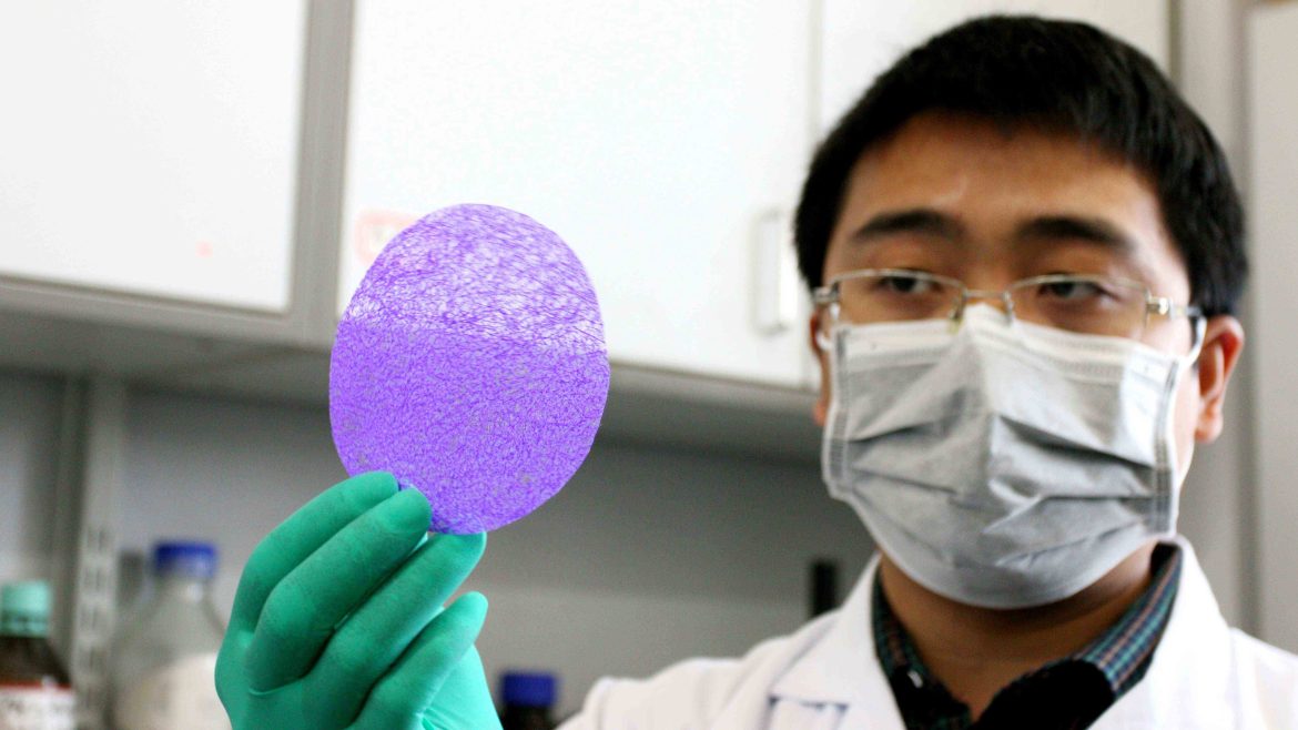 Chinese researchers develop advanced air quality model for pollution simulation