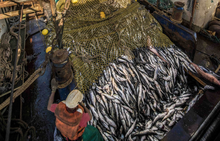 Namibia to strengthen fisheries governance, curb illegal fishing