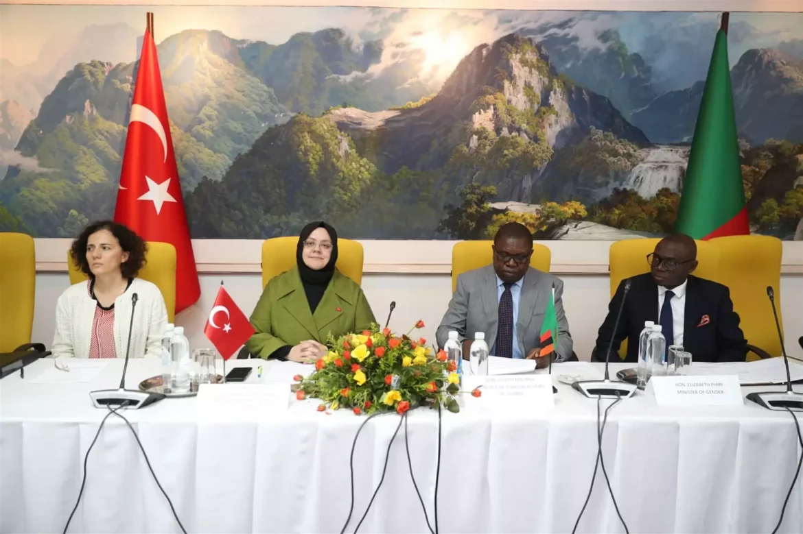 Zambia, Türkiye discuss strengthening economic cooperation