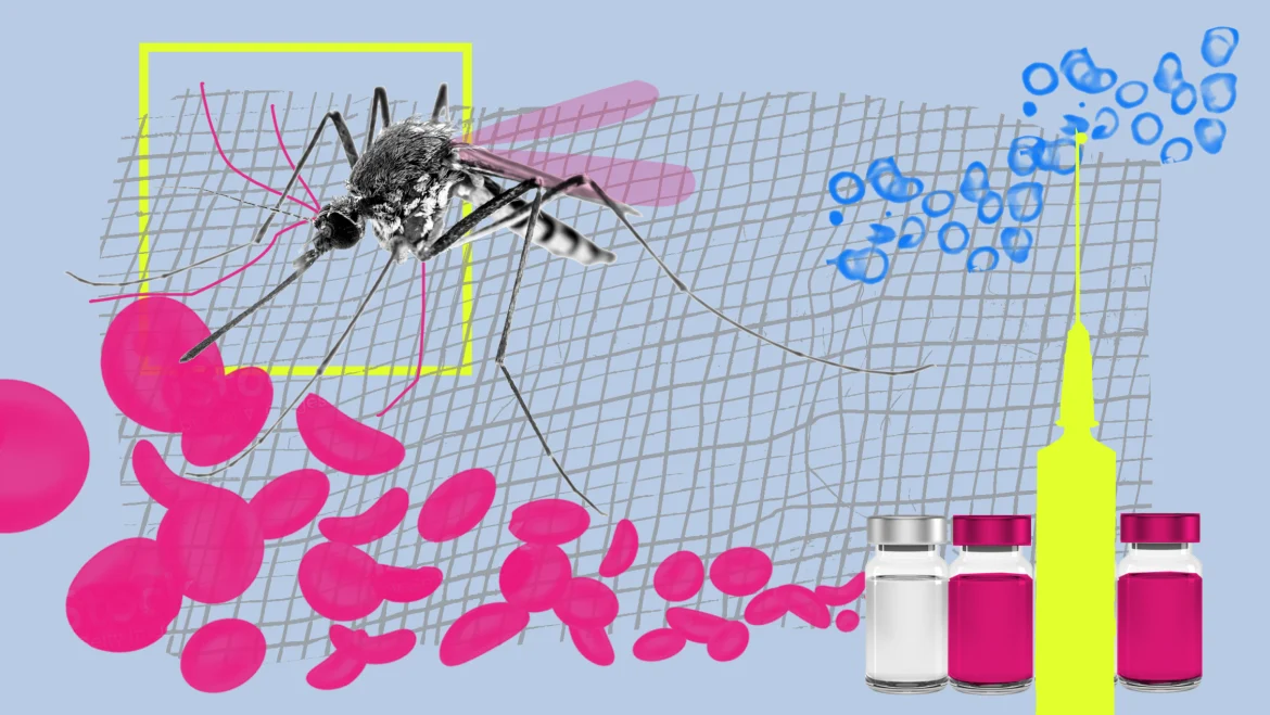 Scientists chart immune blueprint for next-generation malaria vaccine