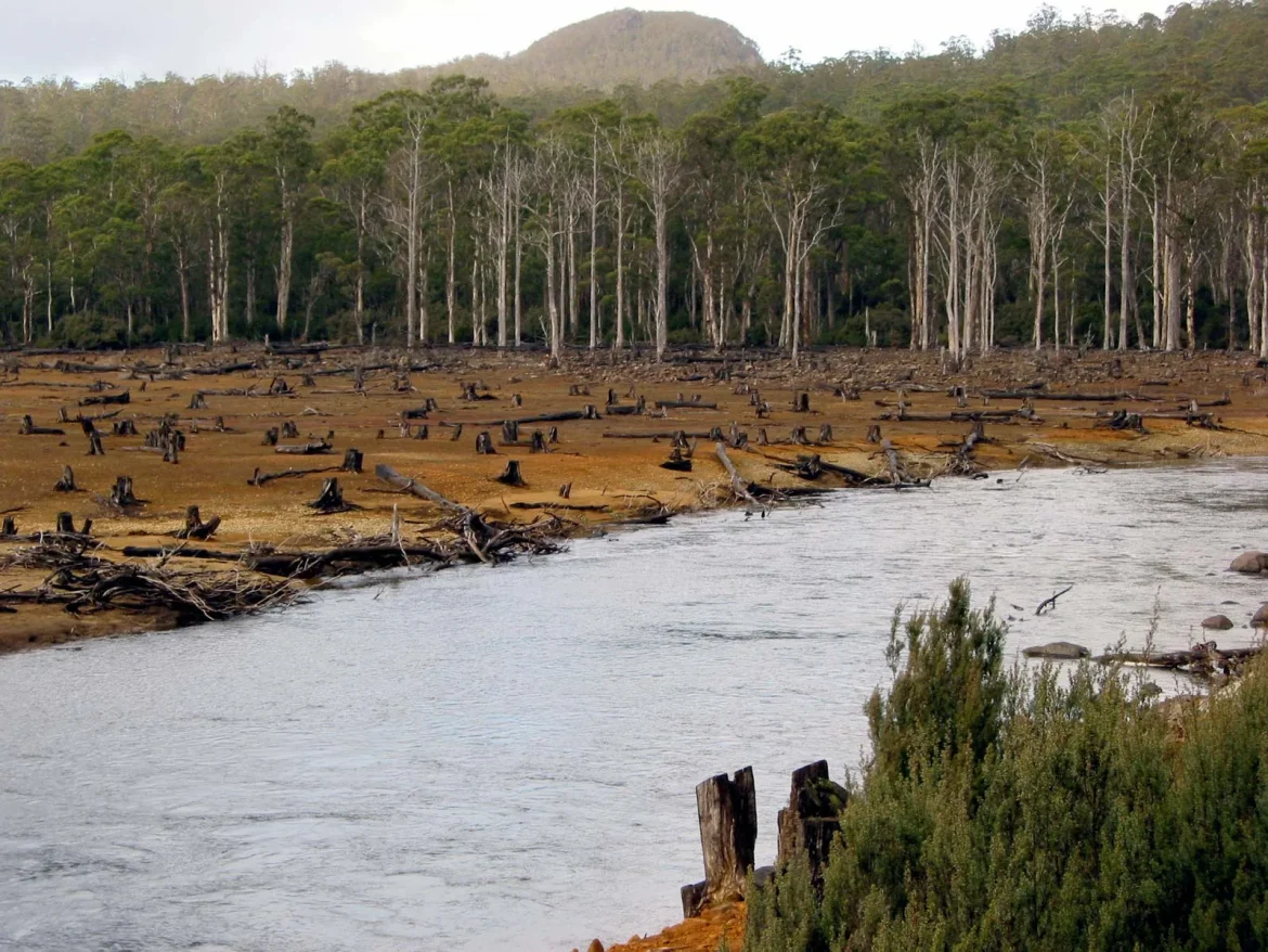 Climate change “accelerating” damage to Australia’s ecosystems, wildlife