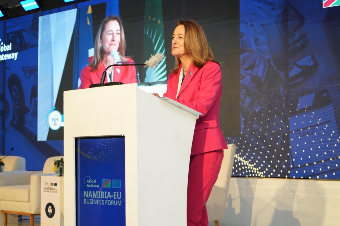 Namibia, EU seek stronger green value chains amid push for economic diversification