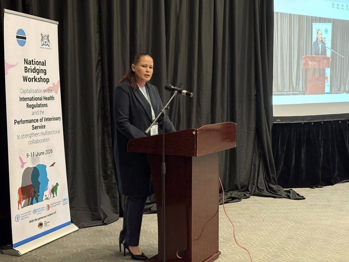 WHO stresses coordinated, multisectoral action to combat health threats at Botswana workshop