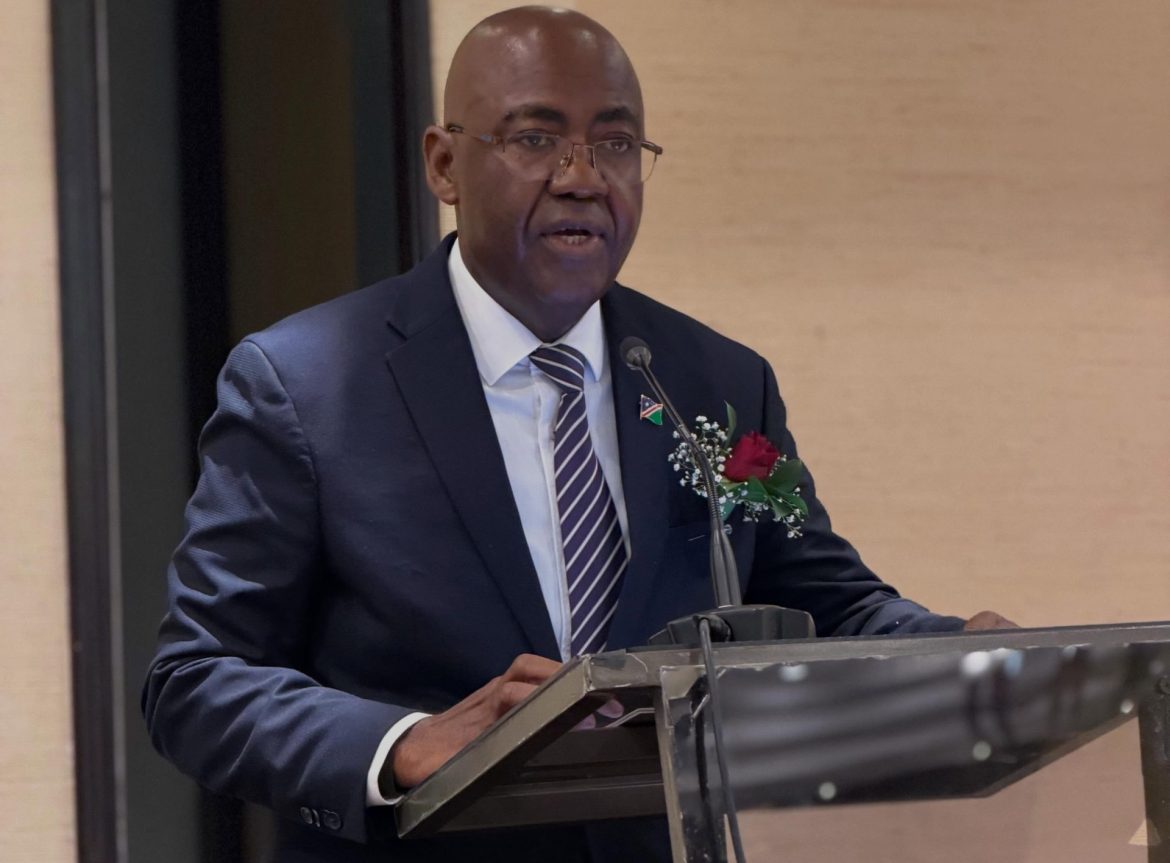Namibia begins CIF mission to advance green industrialization