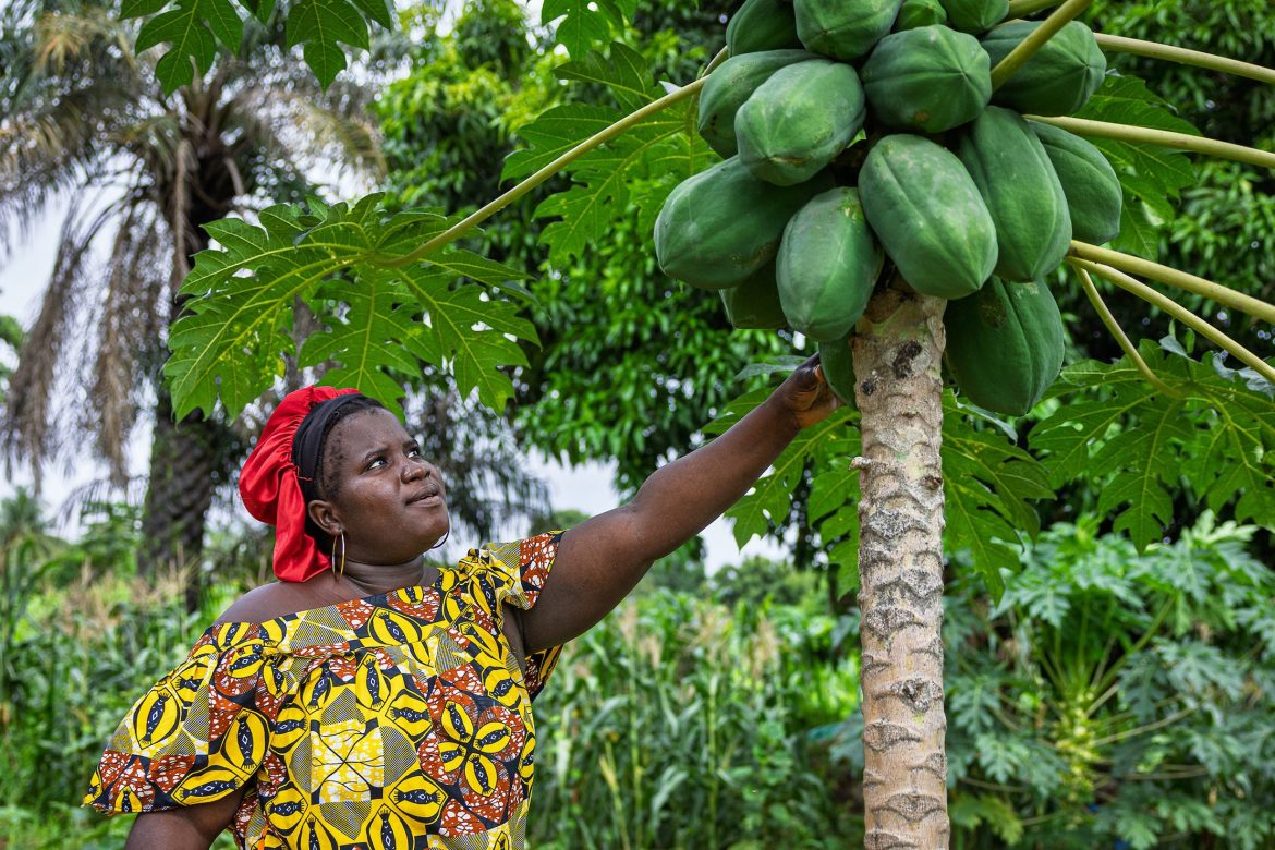 Guinea-Bissau secures 10 mln USD for climate resilience project