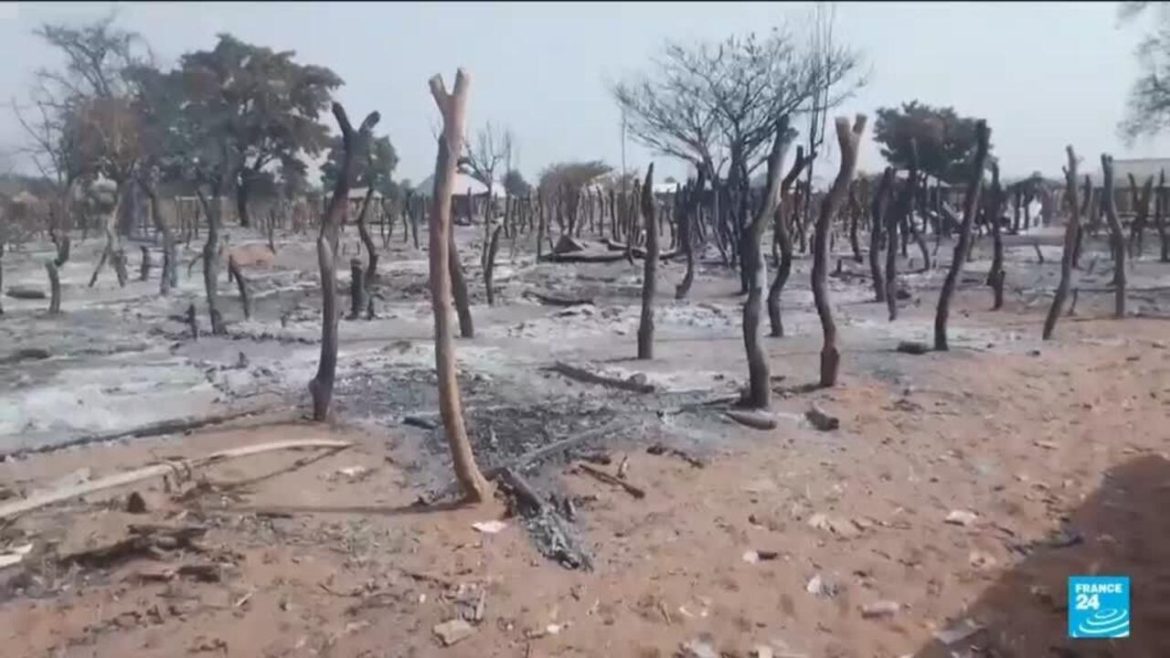 Over 30 killed after gunmen hit northern Nigerian community: media