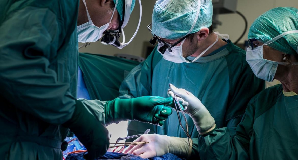 Roundup: World’s first pig-to-human heart transplant patient dies