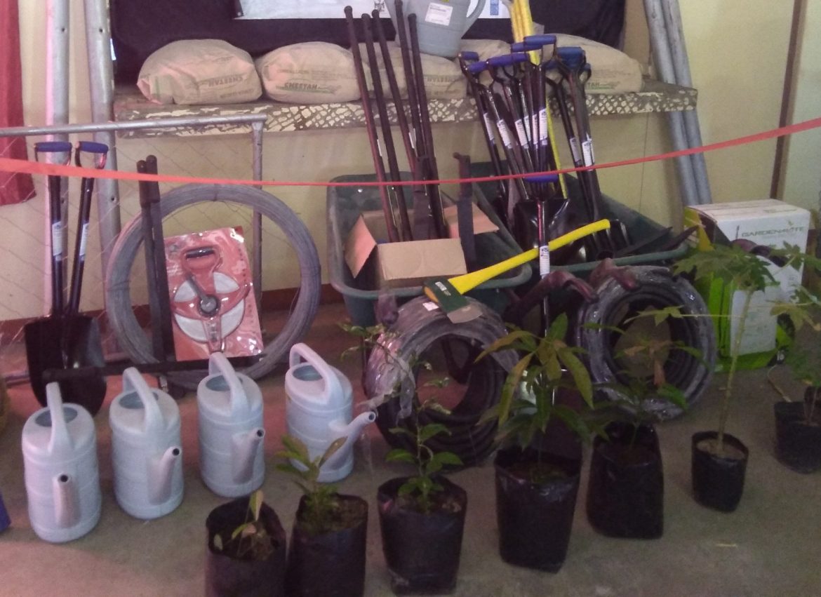 Ten Zambezi schools get equipment and seedlings for tree planting competition