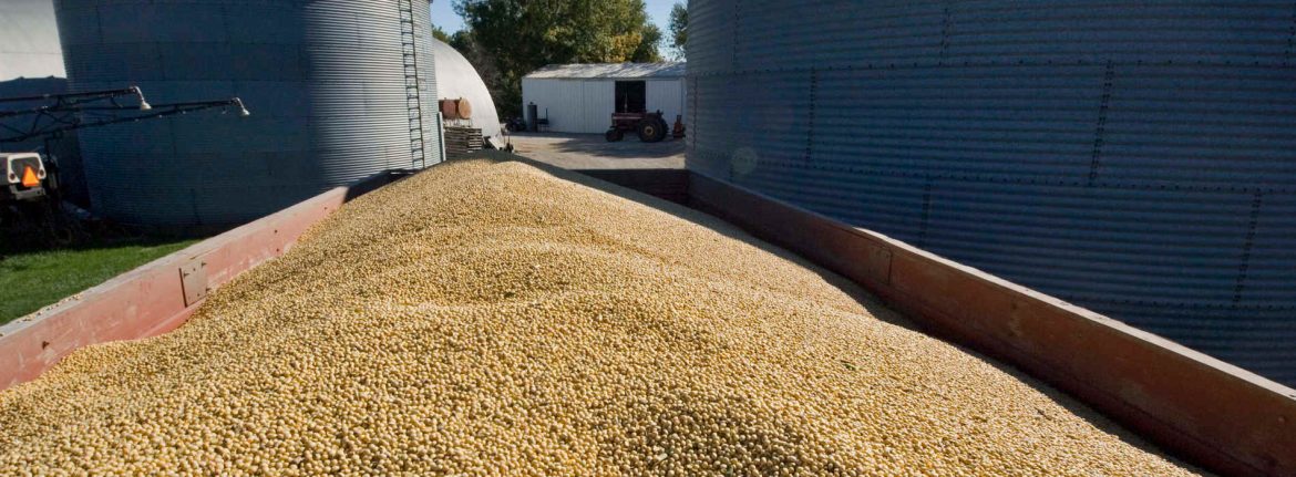 Zambia firms ink large export deals with DRC