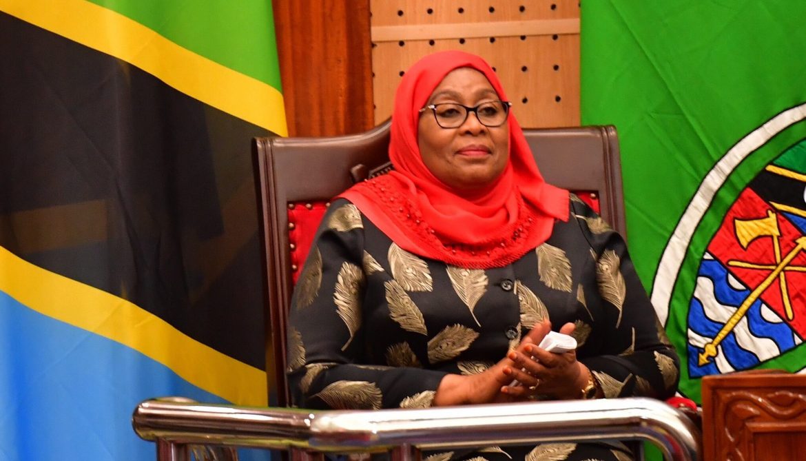Tanzanian president advocates use of clean energy for cooking