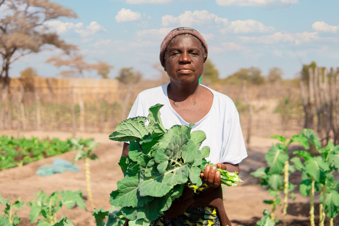 Supporting Namibia’s Food Security: WFP’s Impact in Numbers and Operations