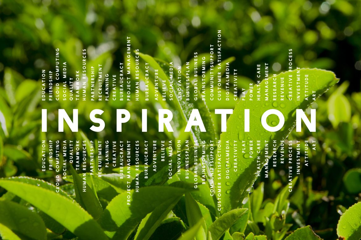 Economic Watch: Heavy industrial enterprises eye green, innovative shift