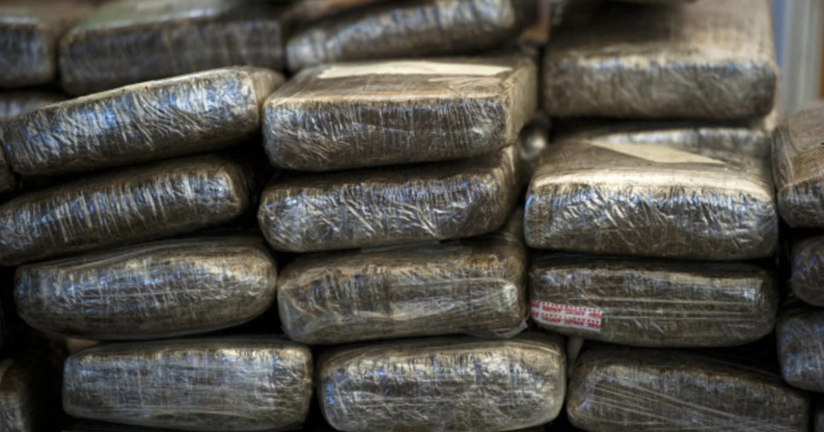 Tanzania’s Zanzibar anti-narcotics authorities seize nearly 800 kg of illicit drugs in 3 months