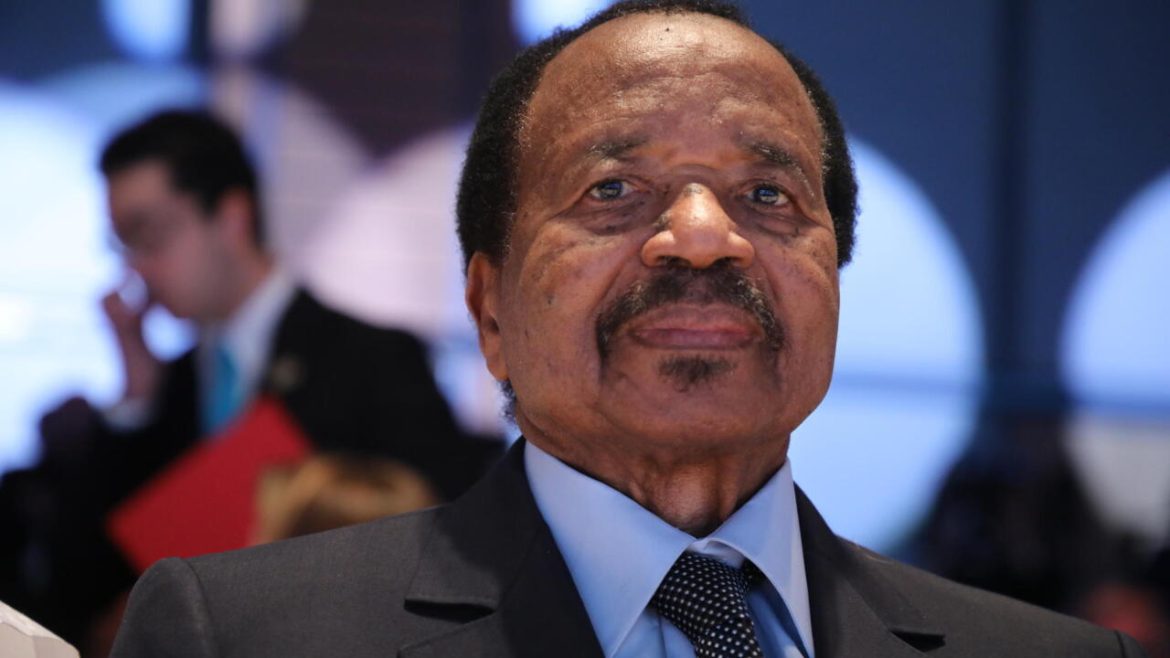 Cameroon to hold regional election on Nov. 30