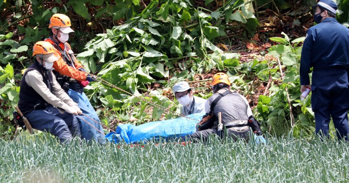 Deaths from bear attacks in Japan hit record 10
