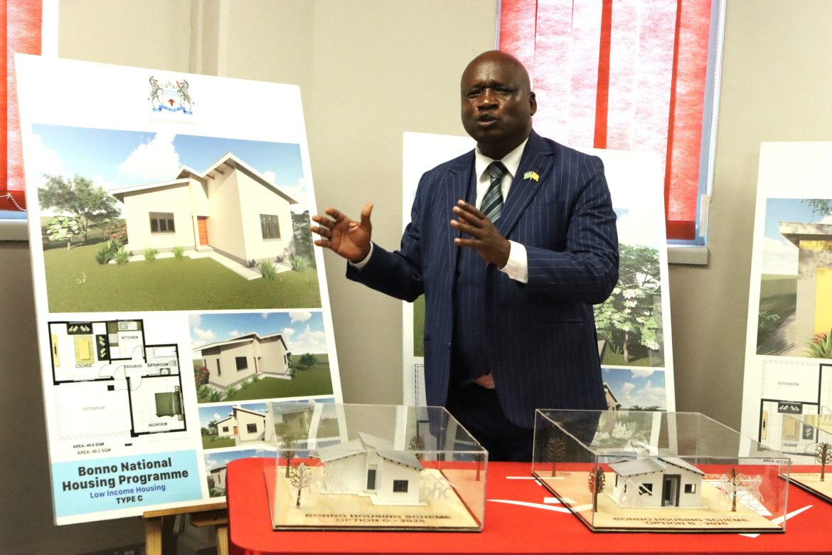 Botswana minister says progress made on affordable housing program