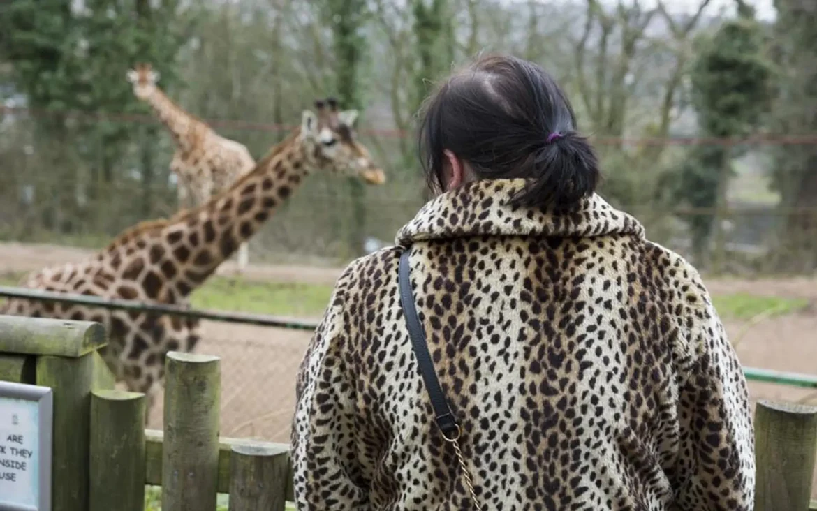 Study reveals humans move 40 times more than all wild animals combined