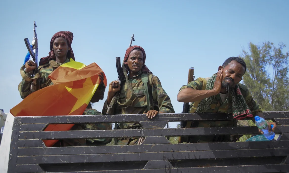 Ethiopia’s Afar authorities accuse TPLF of attacks on civilians